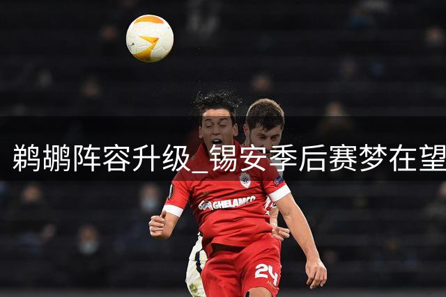 鹈鹕阵容升级 锡安季后赛梦在望